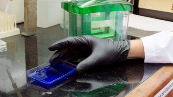 Colesterol: qué pasa cuando la proteína del HDL está mutada