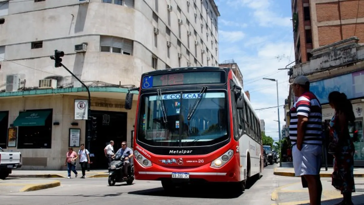 Falta de educación en seguridad vial, la principal causa de accidentes de tránsito.