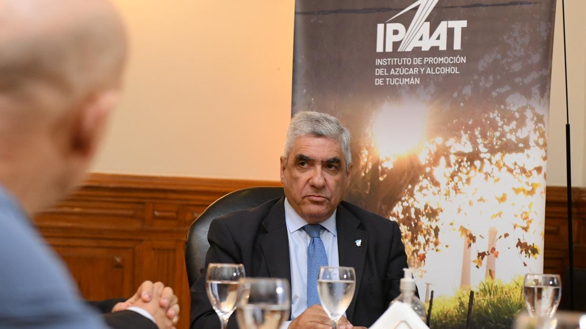 Zafra 2025: récord histórico y crecimiento del perfil exportador