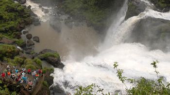 Cataratas del Iguazú: Podes seguir en vivo la transmisión desde el Parque Nacional