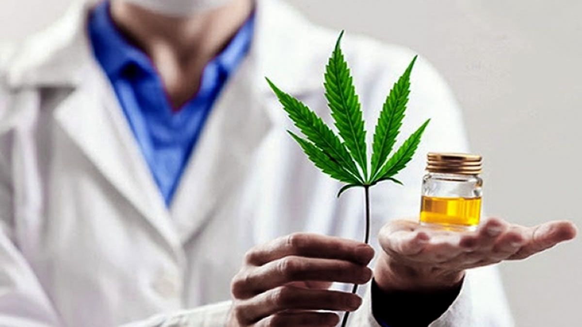 Ley de Cannabis Medicinal: ¿cuáles son las normas?