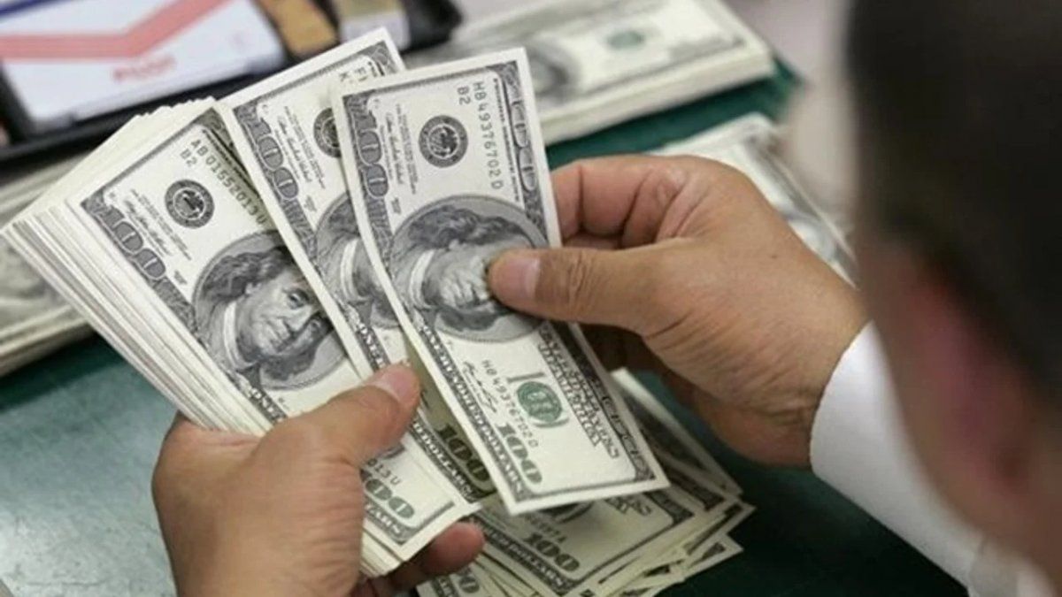 El Banco Central vendió más dólares en agosto que en julio