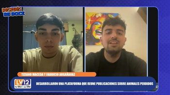 Animales perdidos: conocé Patitas Tucumán, una página creada por dos jóvenes