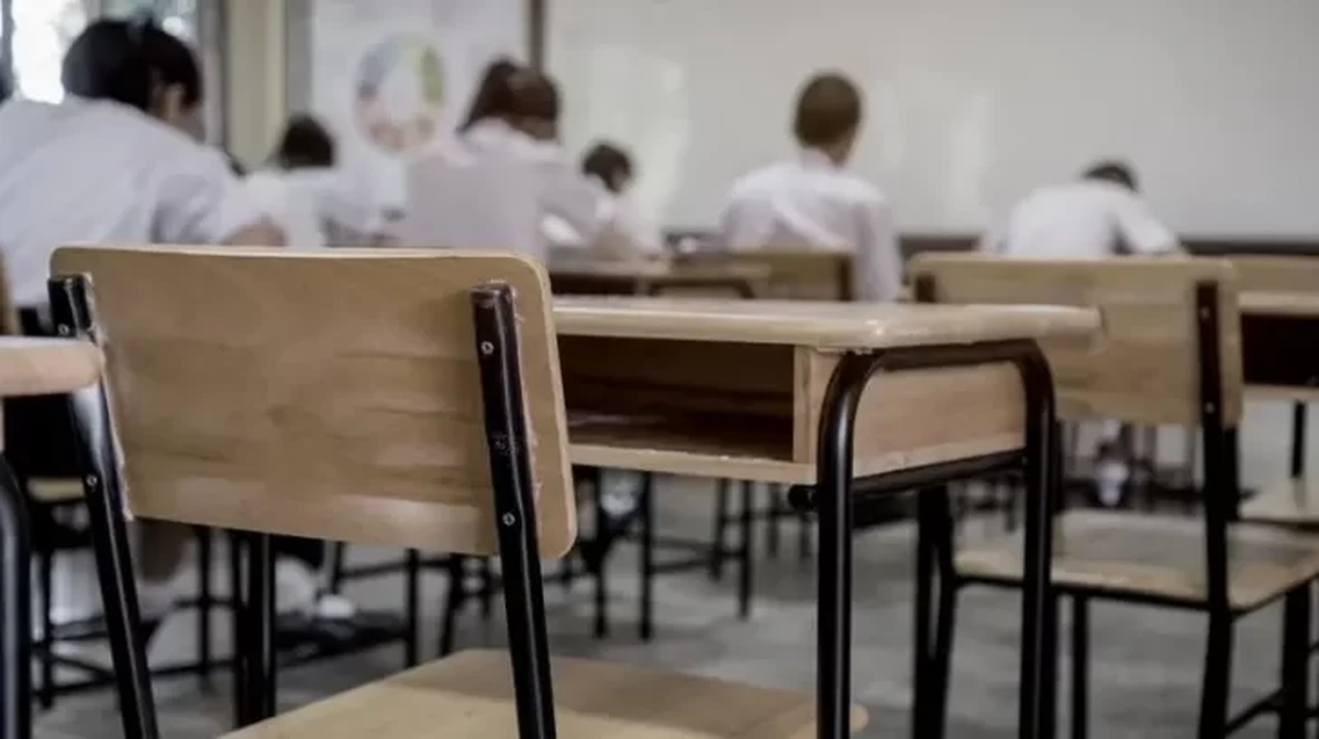 El Ministerio de Educación repudió expresiones políticas de una docente en el aula