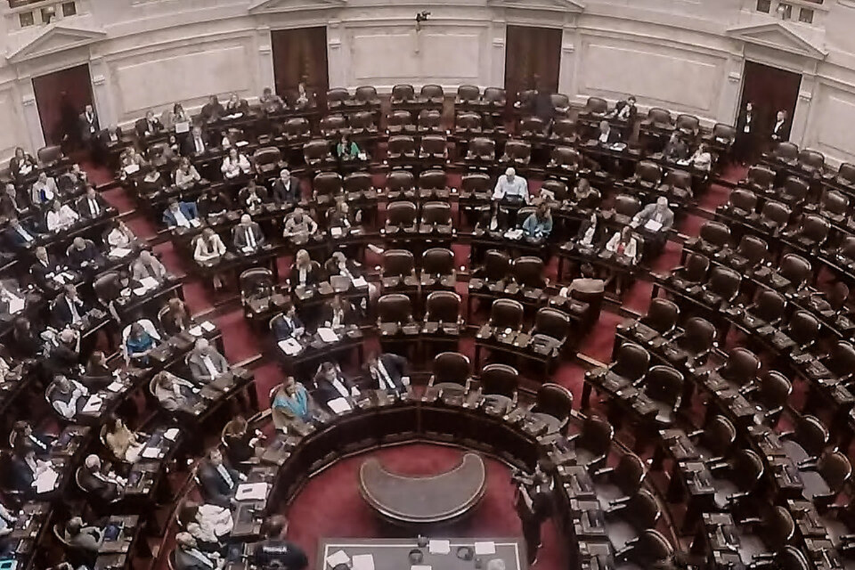 Tras la marcha, en Diputados no lograron quorum para tratar presupuesto universitario.