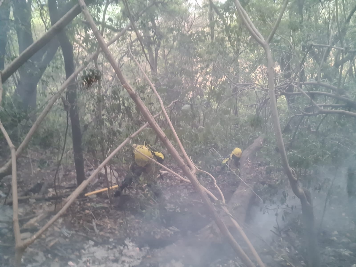 Bomberos trabajaron durante más de 8 horas para apagar el fuego.
