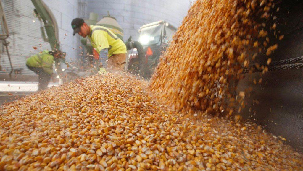 La AFIP confiscó casi 5.000 toneladas de granos no declarados por $17 millones