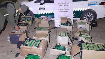 Secuestraron 186 kilos de hojas de coca y 71 pescados en dos procedimientos