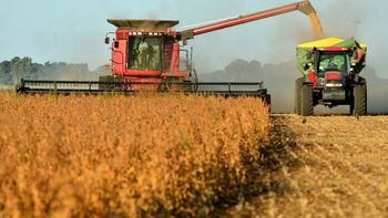La actividad económica subió 5,5% en marzo
