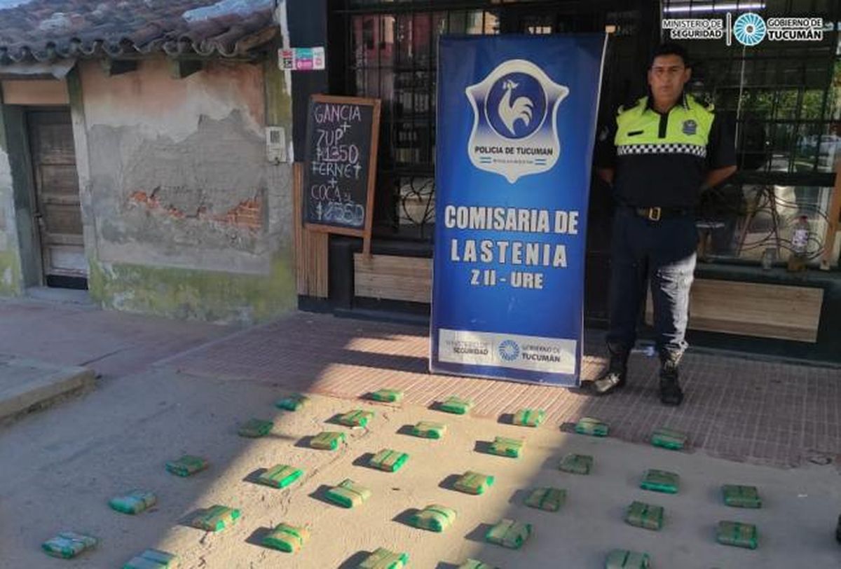 La Polic&iacute;a incaut&oacute; m&aacute;s de nueve kilos de hojas de coca en Lastenia.&nbsp;