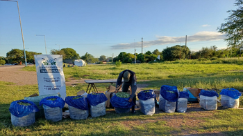 Secuestran más de 220 kilos de hojas de coca en Tucumán