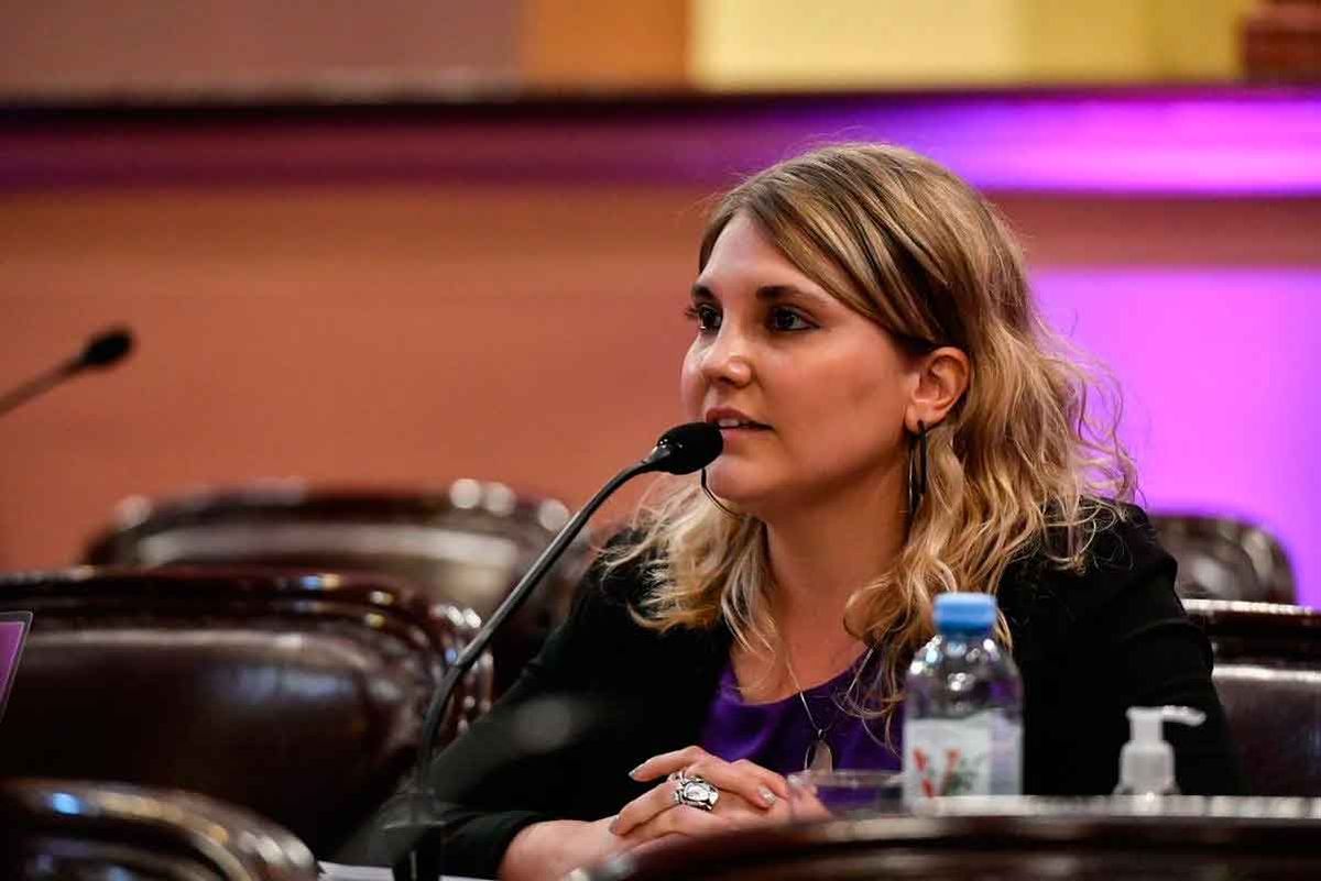 Stefanía Cora reemplazará a Edgardo Kueider en el Senado