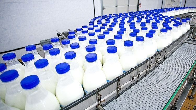Las exportaciones lácteas crecieron en volumen