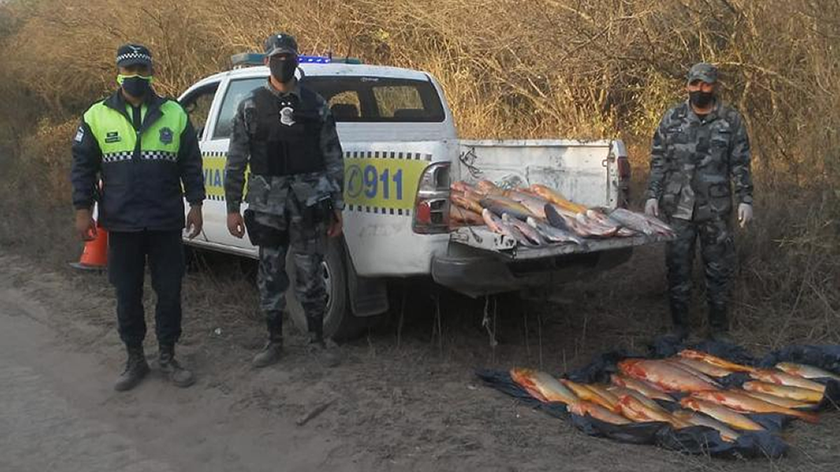 Operativo: secuestraron casi 200 kilos de pescado y armas