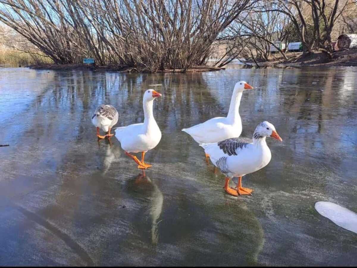 Frío extremo en Argentina: hay 9 provincias en alerta roja