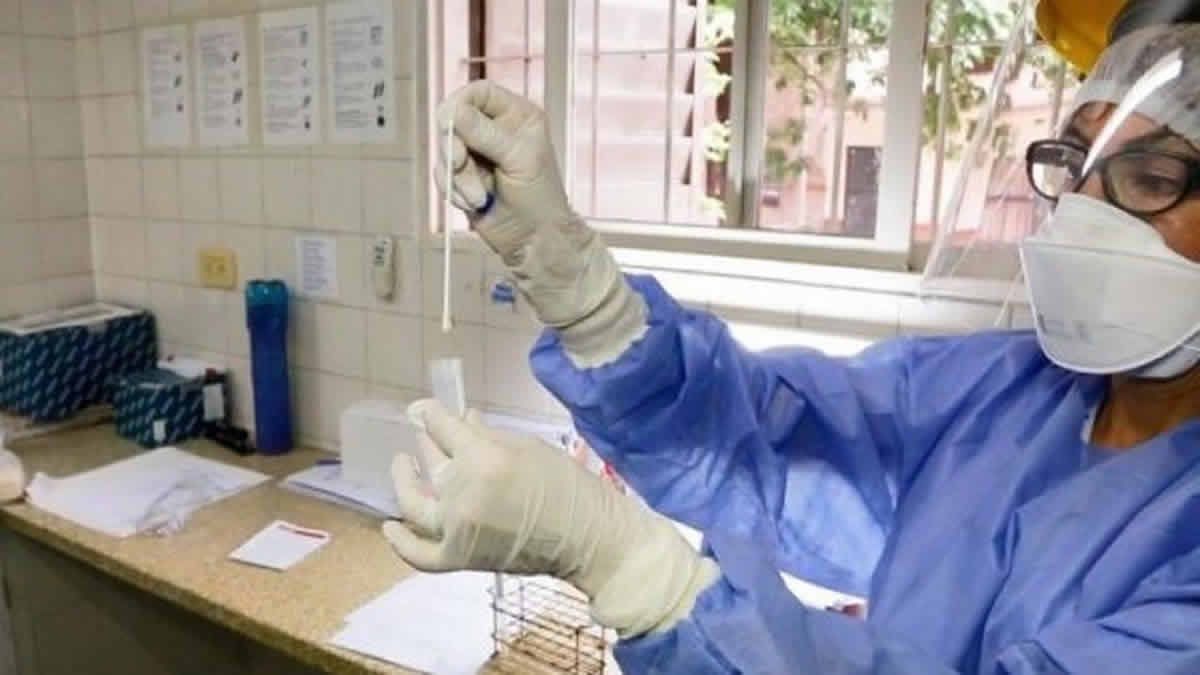 En Salta se detectaron tres nuevas variantes de coronavirus