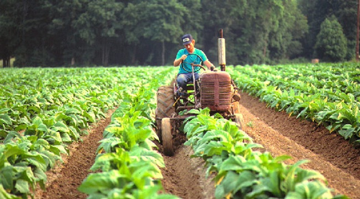 El Estado provincial anticipó 30 millones de pesos a productores.