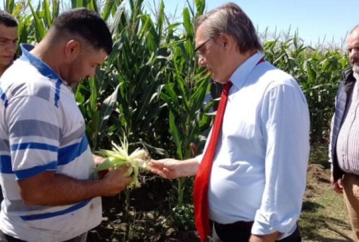 El Gobierno otorgó un subsidio a productores de Piedrabuena. 