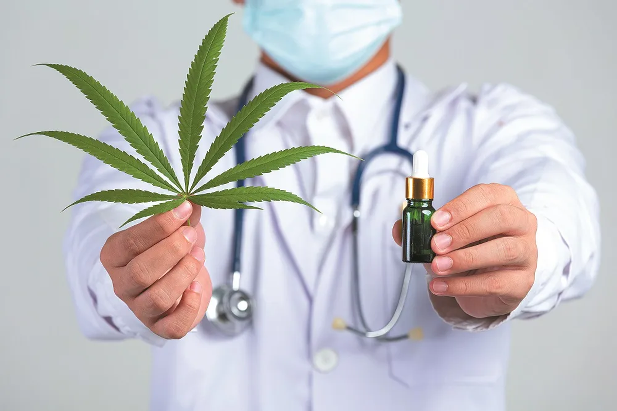 Cannabis Medicinal.