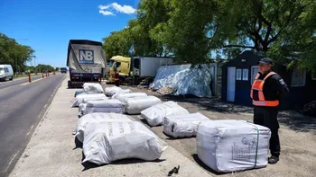 Incautaron 20 encomiendas de mercadería ilegal en 7 de Abril