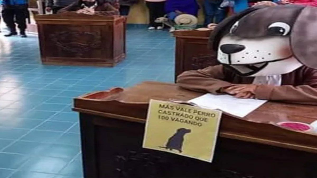 Se vistió de perro para reclamar la castración gratuita de animales