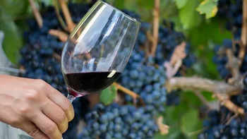 Turismo impulsa la Fiesta de la Vendimia para fortalecer la Ruta del Vino de Altura