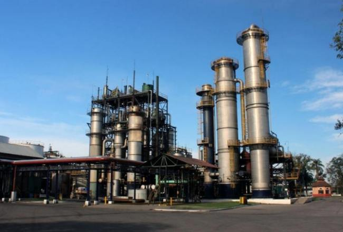 Piden actualización de los precios de los biocombustibles.