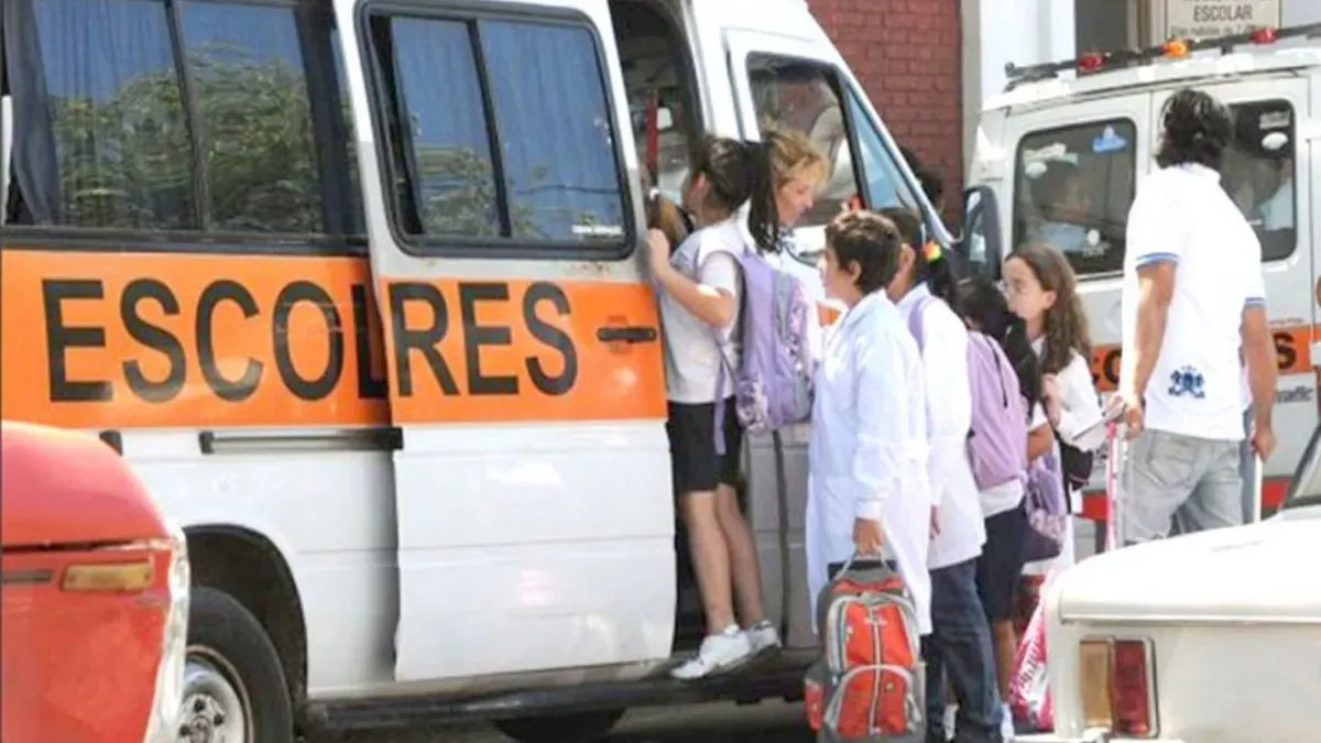 El transporte escolar pierde cada vez m&aacute;s terreno a nivel nacional. En Tucum&aacute;n solo 39 unidades circular&iacute;an durante el 2022. Adem&aacute;s, Totongi, referente en el &aacute;rea, se&ntilde;al&oacute; que no reciben ning&uacute;n tipo de subsidio.