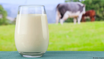 Importación de leche: 