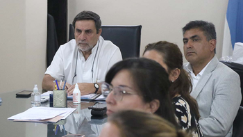 Detectaron dos nuevos casos de chikungunya en la provincia