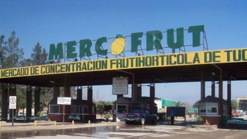 Mercofrut: 