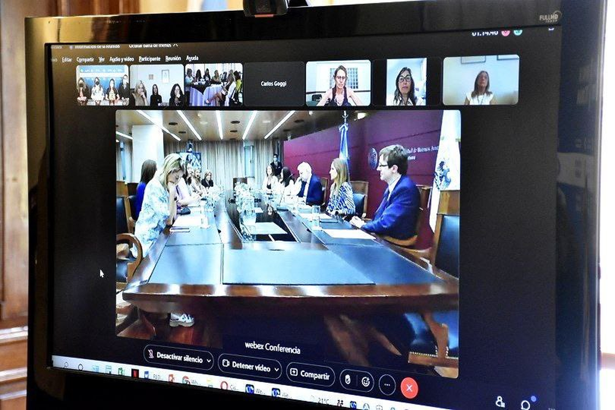 La Red de Mujeres tuvo una reunión virtual con organismos estatales.