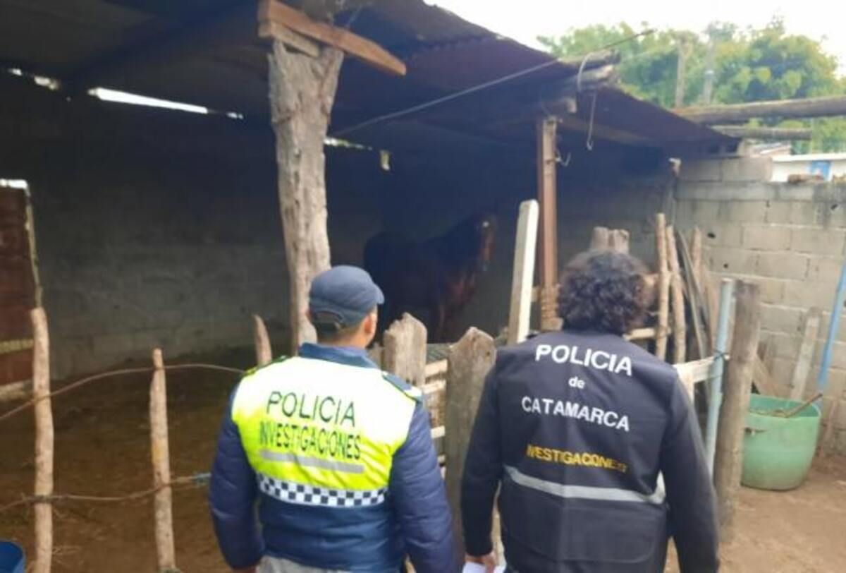 Un caballo robado en Catamarca fue recuperado en Tucumán