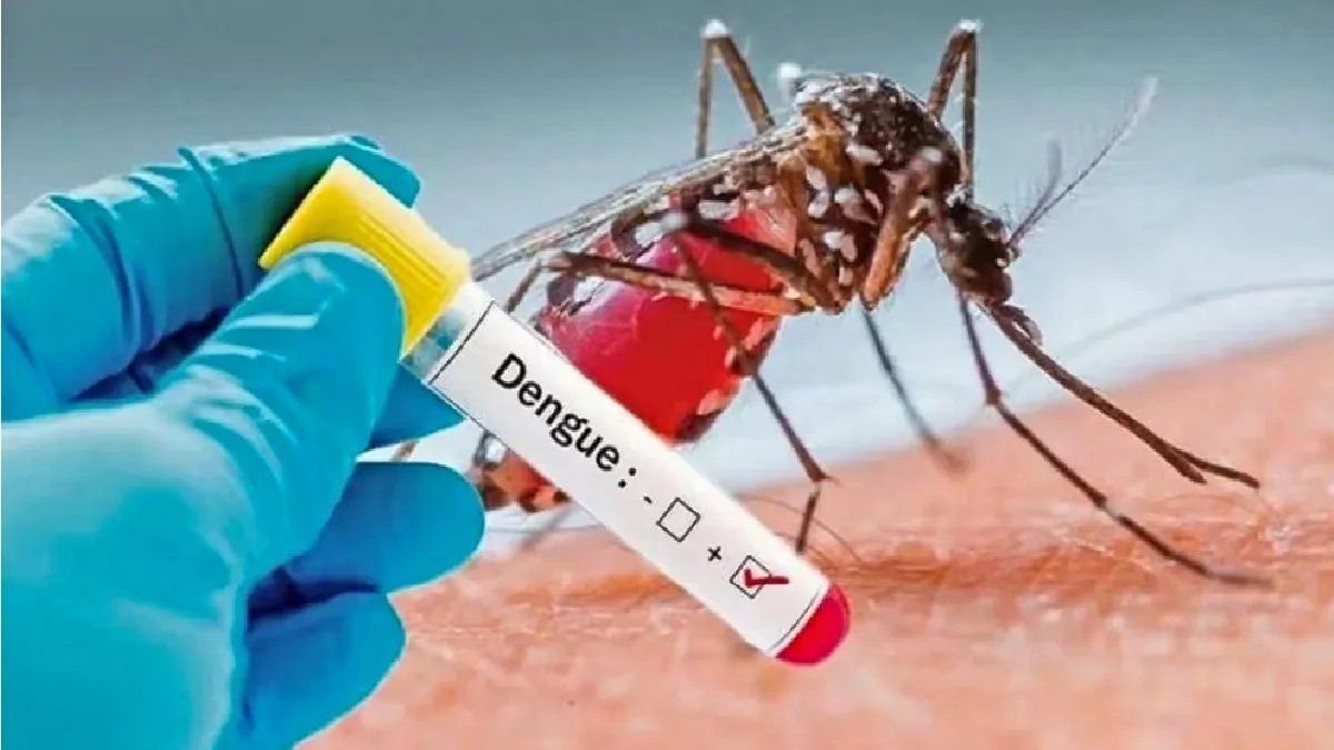 Diagnóstico bioquímico de dengue: faltan los reactivos NS1 y PCR