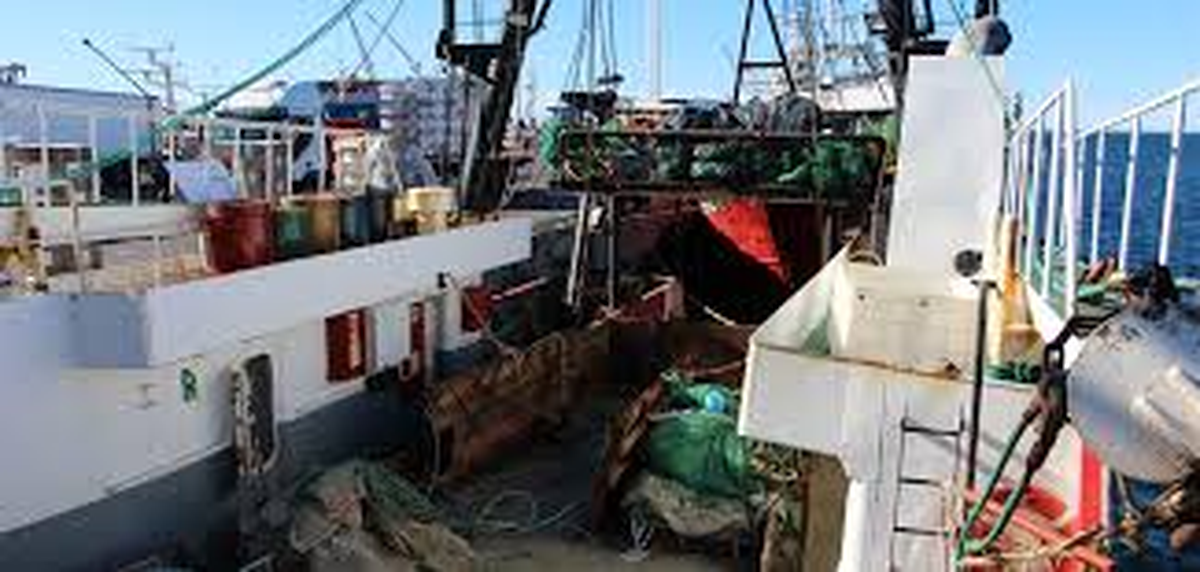 Foto: Argentina.gob Foto: Argentina.gob