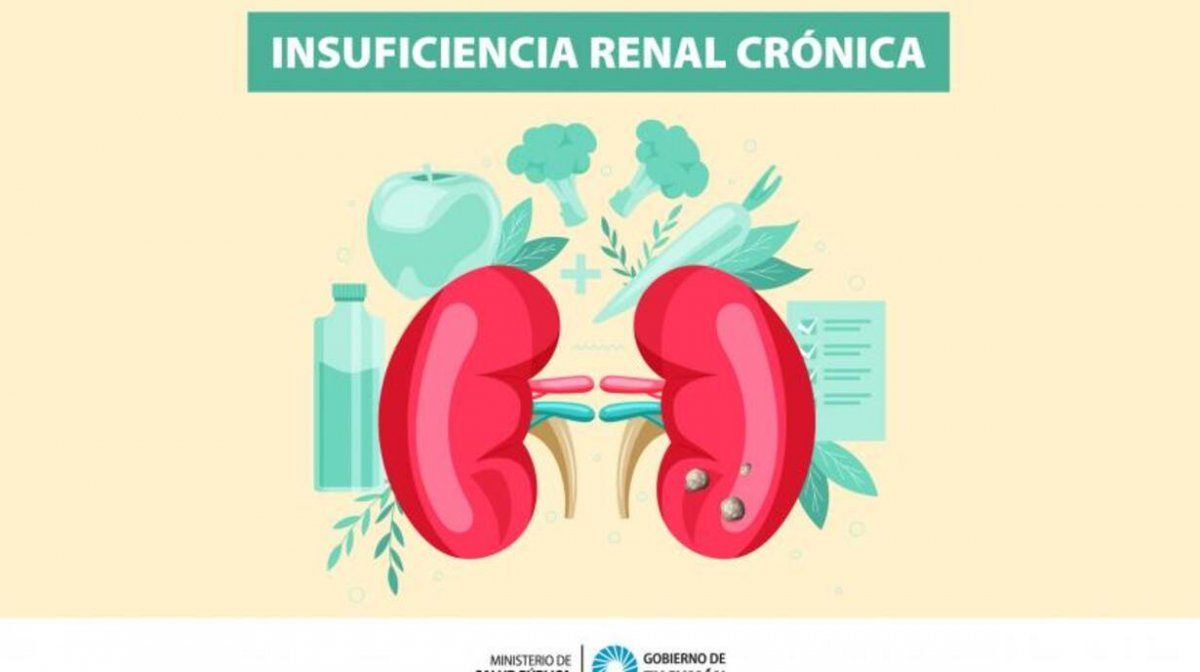 ¿Qué es la insuficiencia renal crónica?
