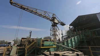 La zafra 2025 continúa a buen ritmo en Tucumán