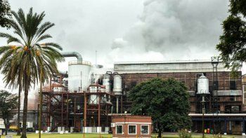 Reforma de la ley de biocombustibles: ¿qué cambios introduce?