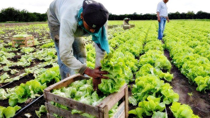 La situación del campo con las lluvias: 