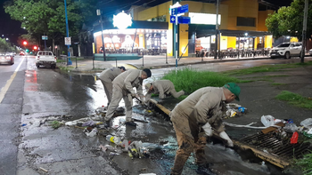 Defensa Civil reportó la caída de 25 árboles y 20 ramas en la capital