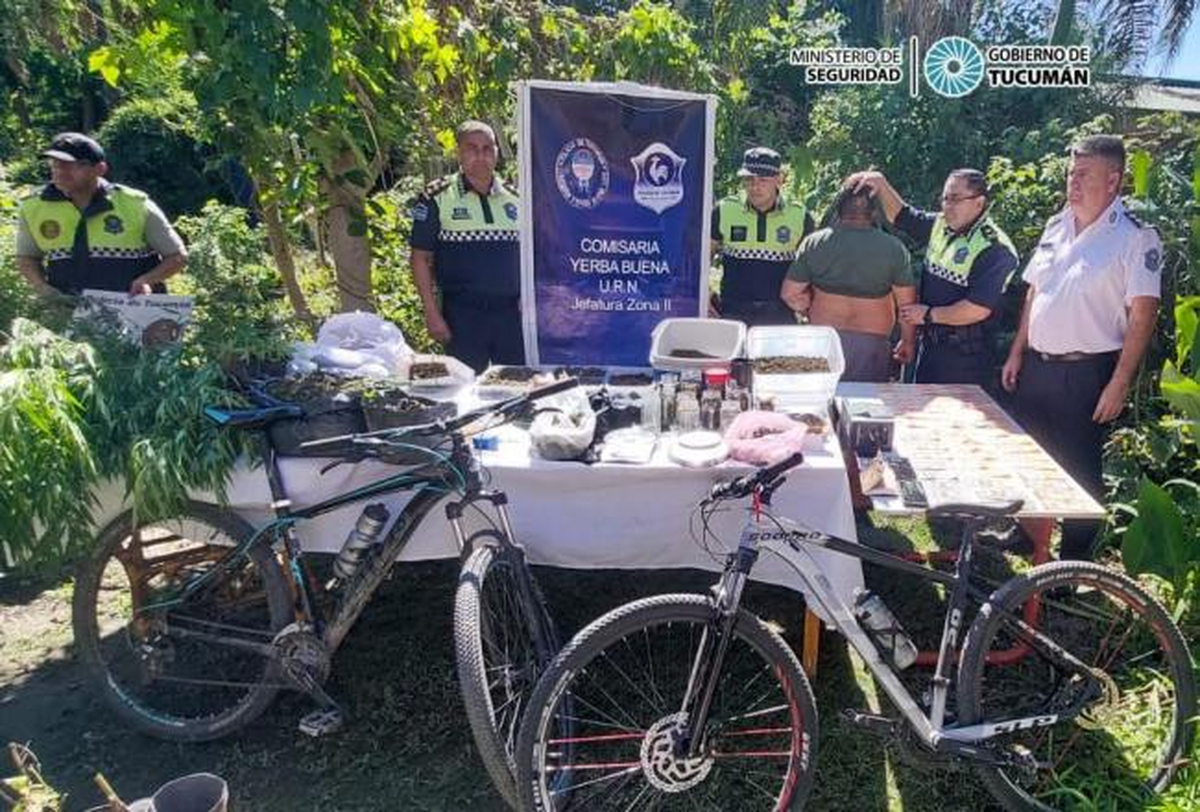 Secuestran d&oacute;lares y marihuana lista para vender en un allanamiento por robo.