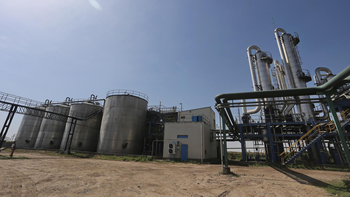 Biocombustibles: estiman inversiones por más de 1000 millones de dólares