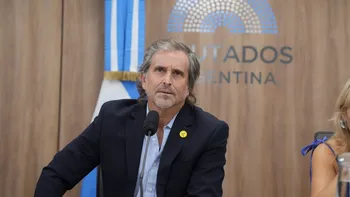 Presupuesto: Benegas Lynch fue ratificado al frente de la comisión