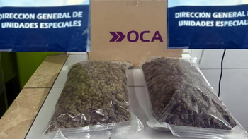 Incautan tres kilos de marihuana y 30 kilos de hojas de coca