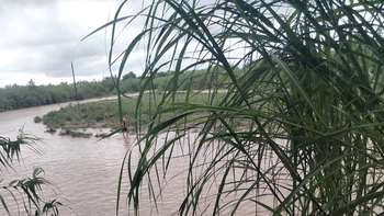 Hallaron un cadaver en las márgenes de Río Salí