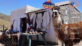 Todo lo que tenés que saber antes de salir de casa...