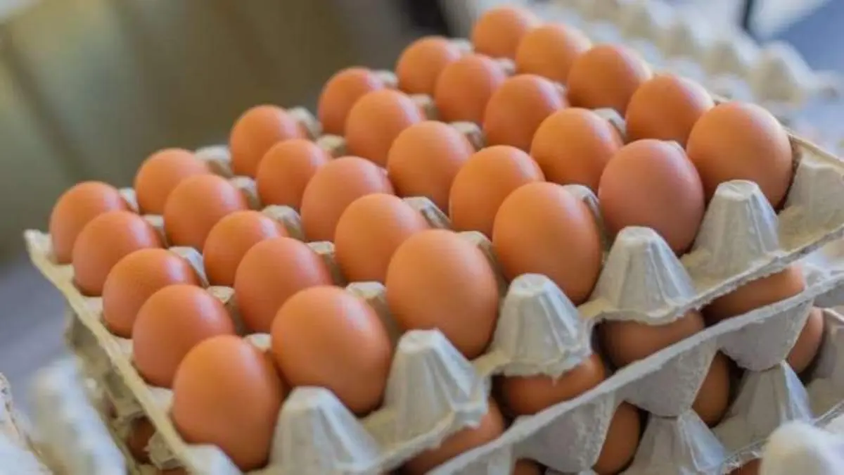 El pollo y los huevos aceleran la inflación en alimentos