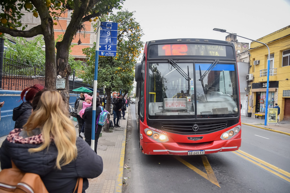 Carriles exclusivos: se van registrando más de 10 mil infracciones. Foto SMT Carriles exclusivos: se van registrando más de 10 mil infracciones. Foto SMT