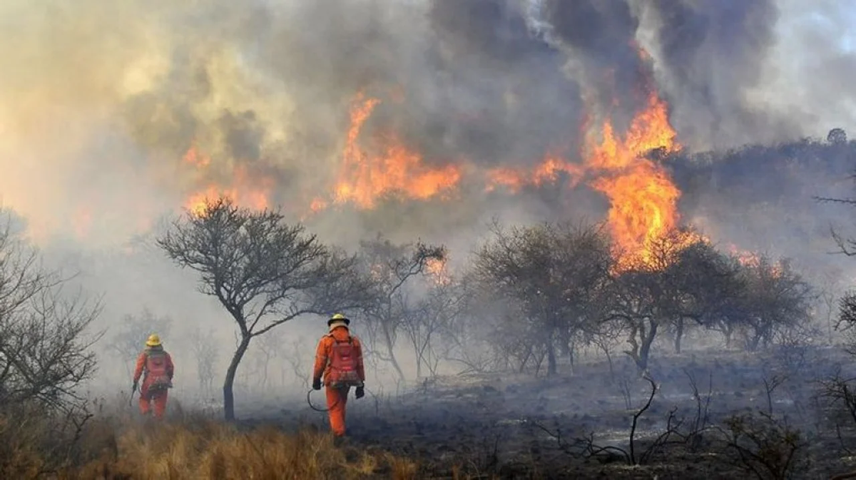 Preocupa el avance de los incendios forestales en Córdoba