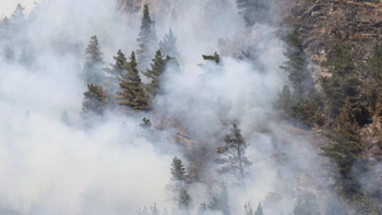 Incendios en la Patagonia: más de 45 mil hectáreas afectadas y cuatro parques en alerta